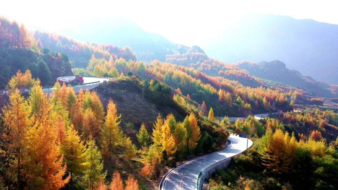 仙境文县秋染高楼山